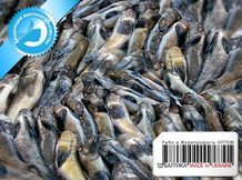 Бычки свежемороженые для переработки (консервные)