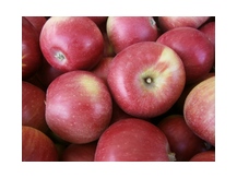 фрукты  ООО" Агрофрукт"